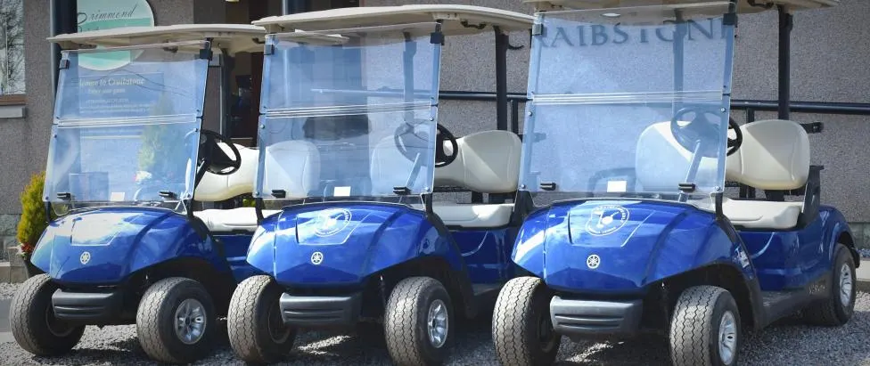 Blue buggies outside the clubhouse