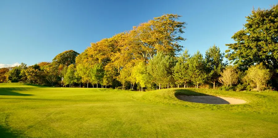 The 9th green